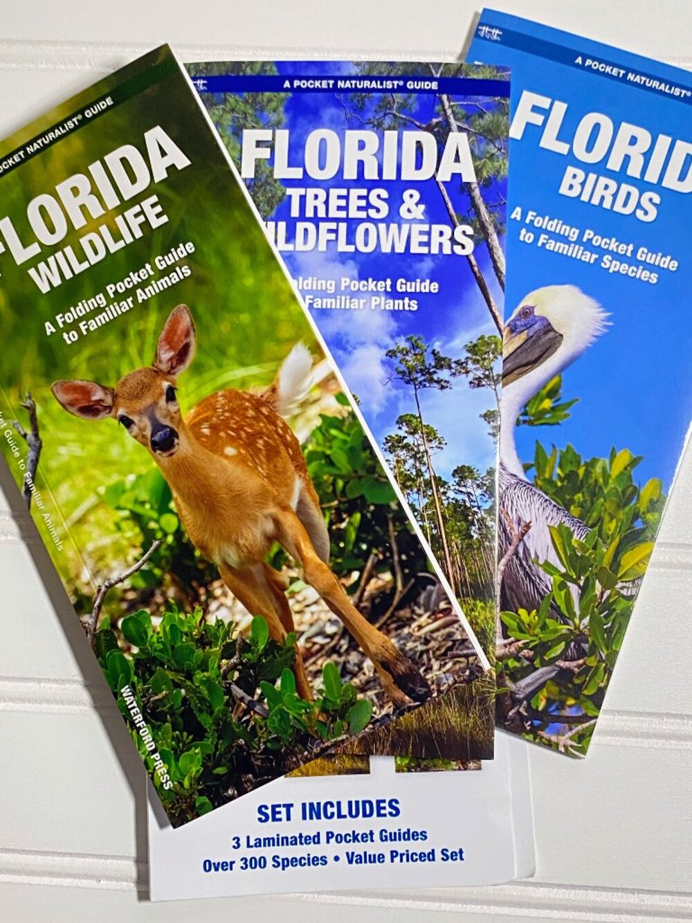 Waterford Press 3 Field Guides to Wildlife Birds Trees Wildflowers of Florida